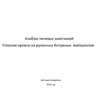 Плоские кровли из рулонных битумных  материалов - Инженер строительного контроля